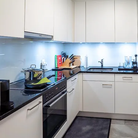 Apartment Expo-basel-ch Apt, Amazon Prime Video, Wifi, Coffee & Tee, Popcorn, Kitchen Basel